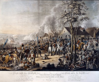 Scene After the Battle of Waterloo, 18th June 1815 by German School